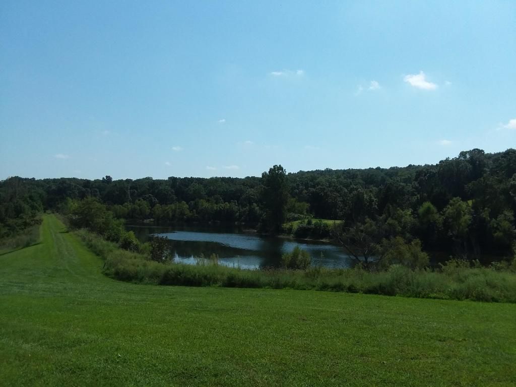 23980 Shadow Lake Dr, Wheatland, MO 65779